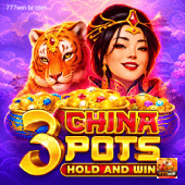 3 China Pots